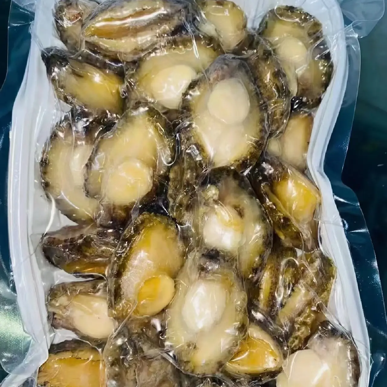 活鲜去壳活鲜鲍鱼肉