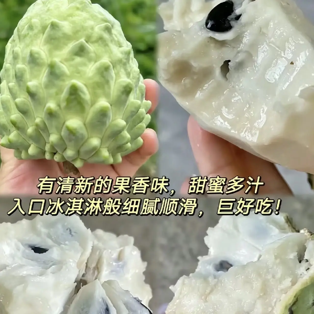 【芒果大王】「放软食用」云南牛奶凤梨释迦果热带香甜佛头果番荔枝