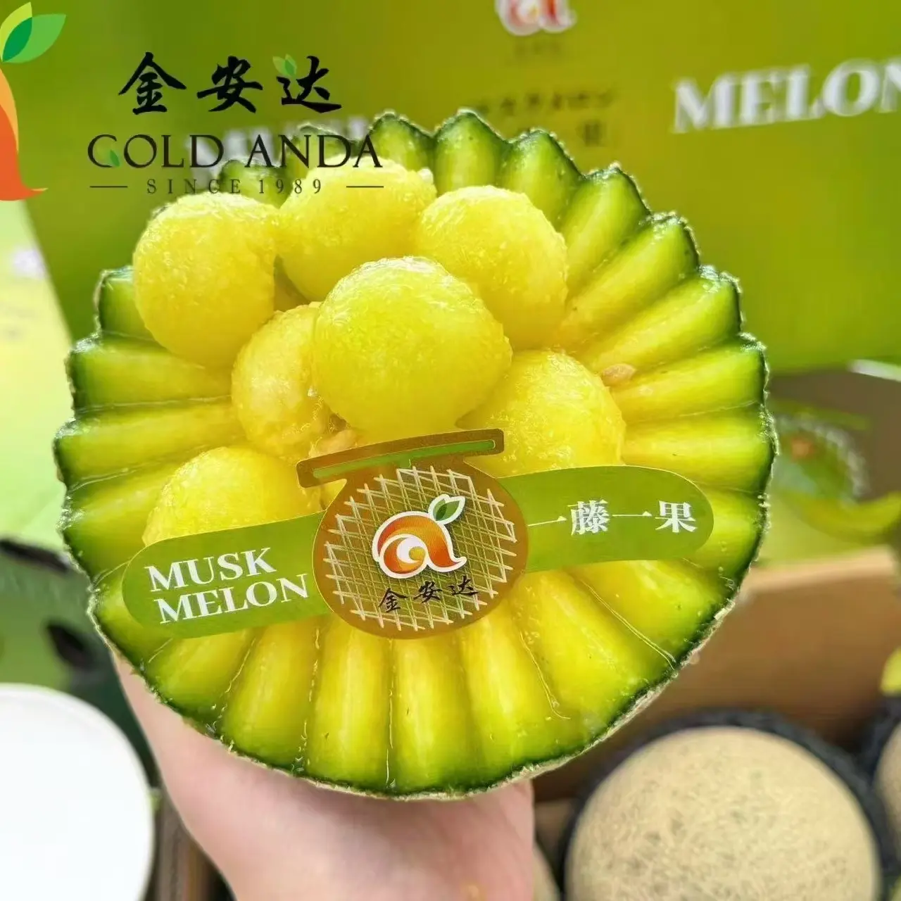 新鲜水果网纹瓜单个15元成熟速发现货海南省