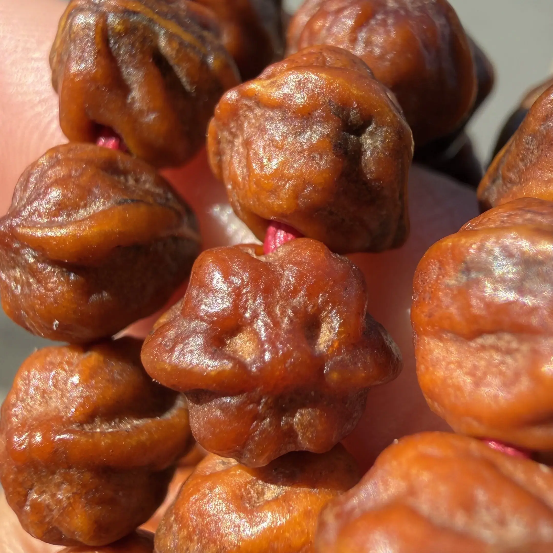 热振柏香籽白牙横打红油皮料文玩手持珠串