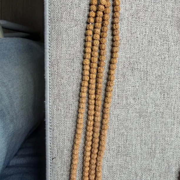 原桩五爪金龙金刚小佛手5.5mm+