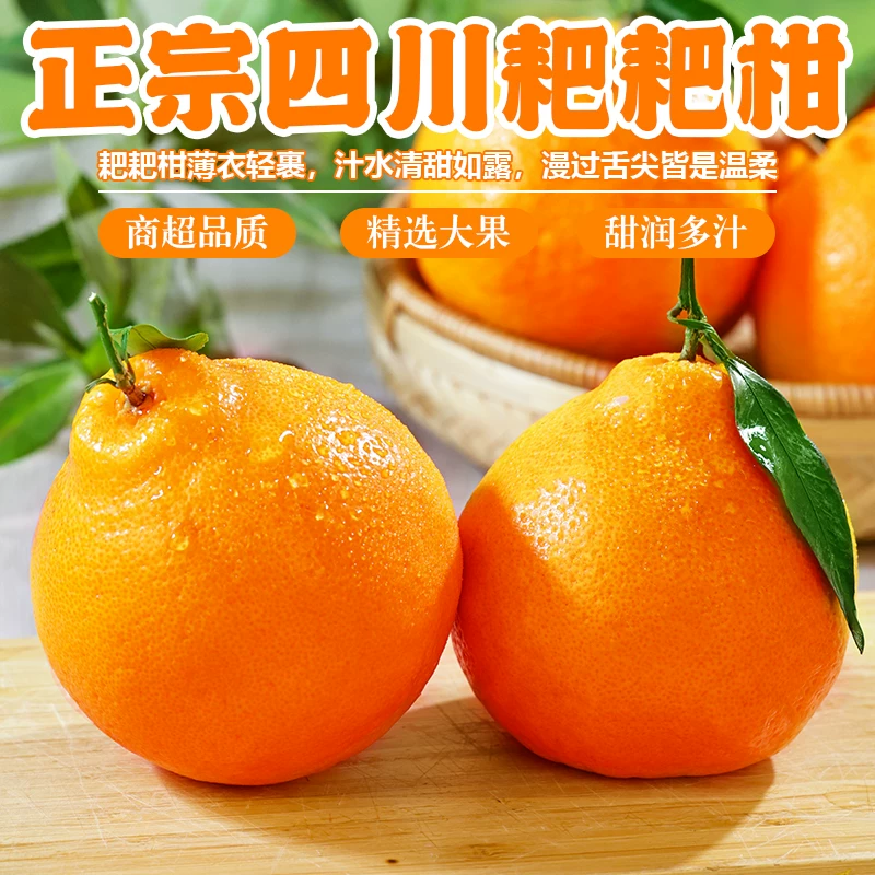 【产地直发】正宗四川春见耙耙柑新鲜自然成熟爆汁多汁爽口细腻水果