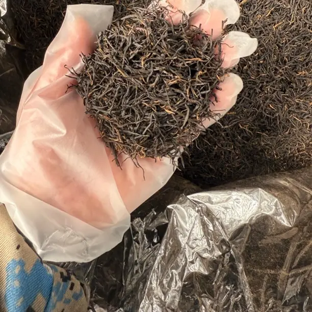 祁门高山红茶祁眉