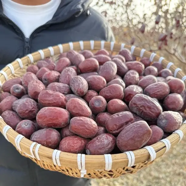 新疆和田大枣自然吊干（一特大果）