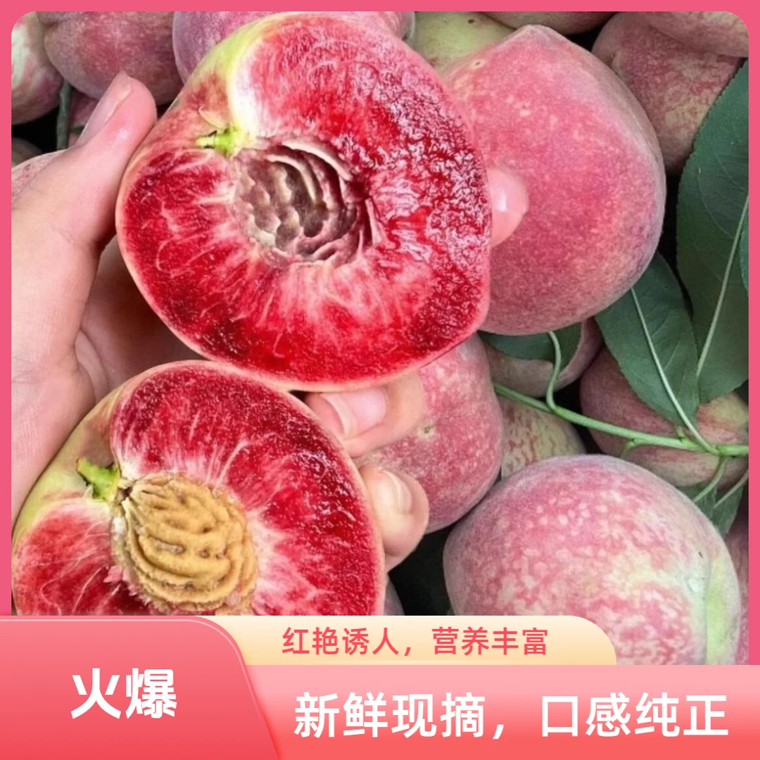 老树胭脂红血桃新鲜现摘当季水果红心多汁香甜
