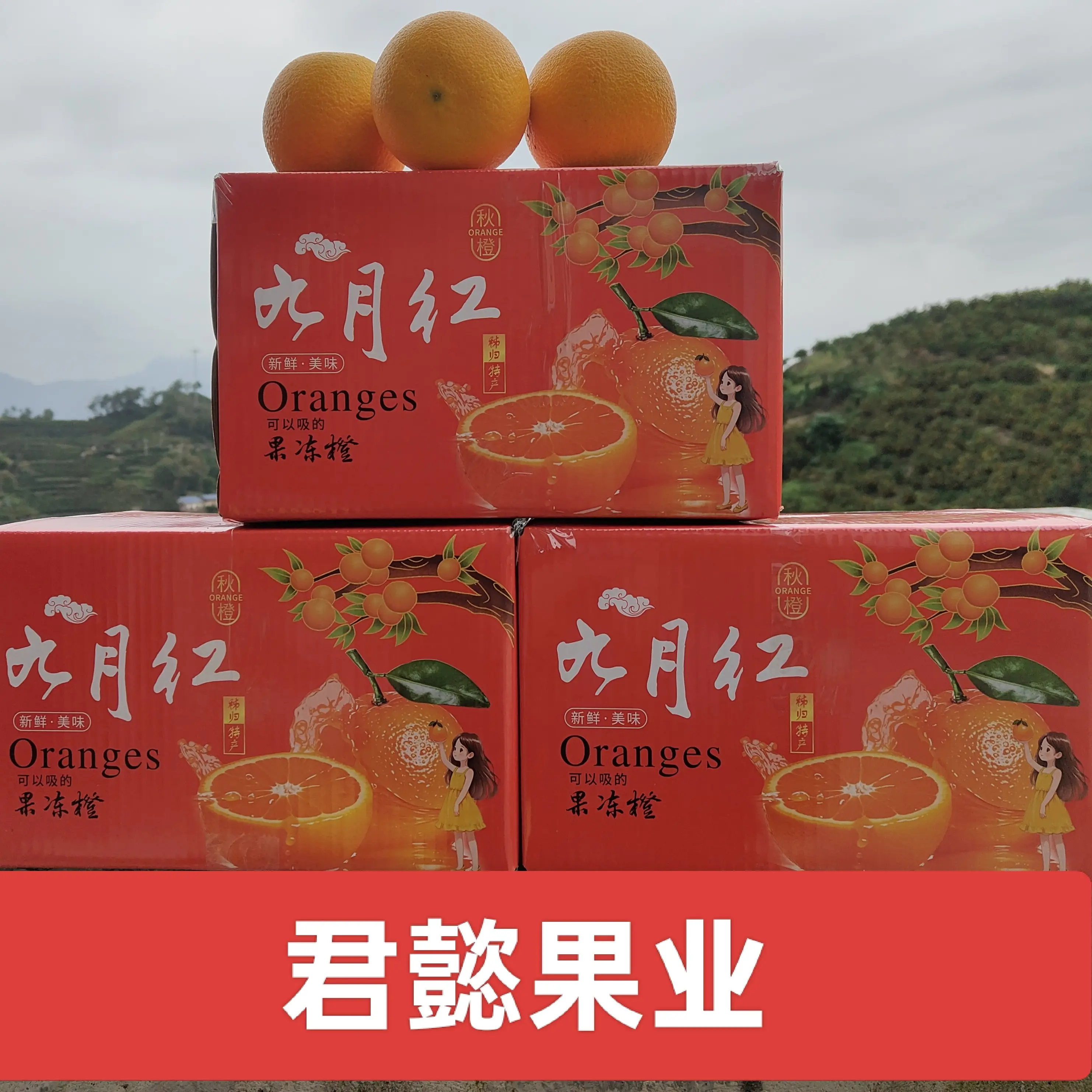 九月红果冻橙爆汁当季新鲜水果秭归橙子