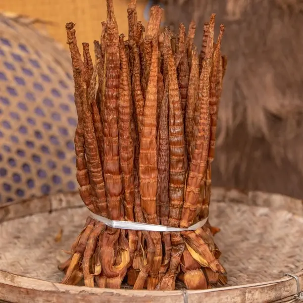 四川水尾大竹笋 