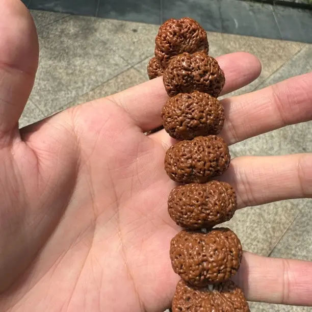 毕业级满肉甲板菠萝蜜 手持