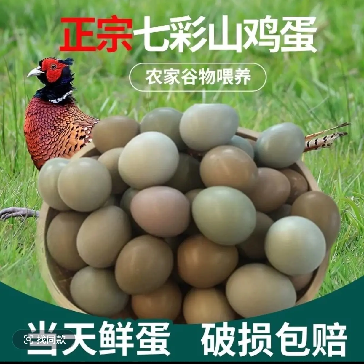 新鲜正宗户外散养七彩山鸡蛋营养丰富适合宝宝辅食王中源