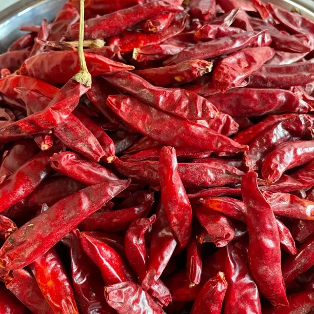 天然晒干特辣香辣朝天椒新鲜辣椒250g500g