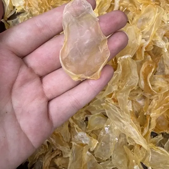 小竹叶胶 鱼胶花胶 干货 滋补 煲汤