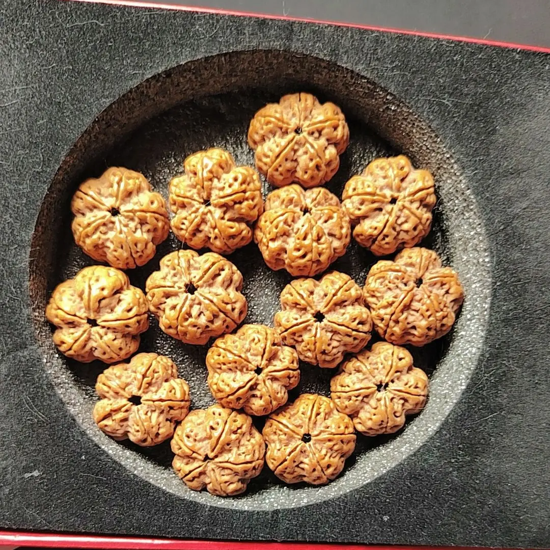 尼泊尔大金刚，霸王花