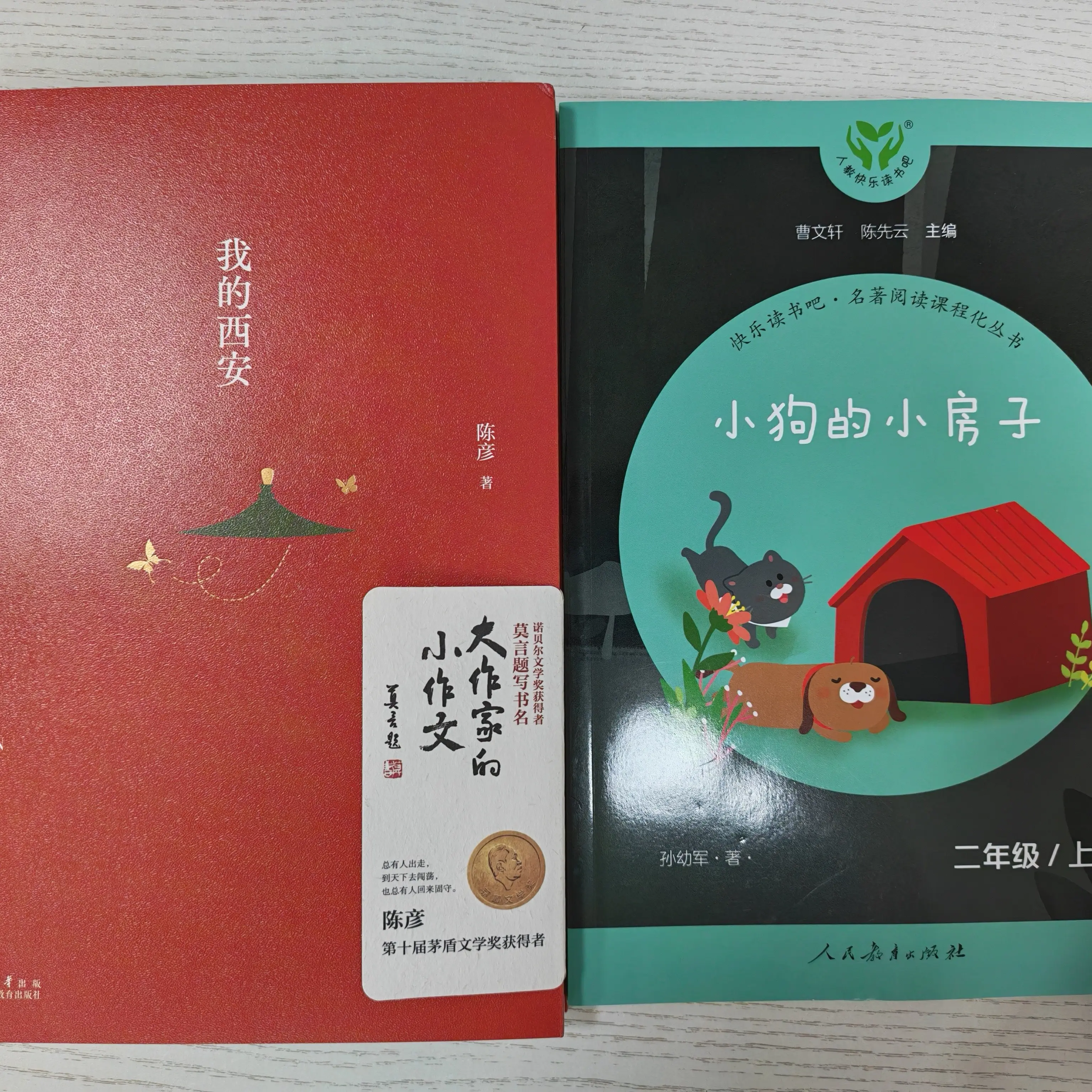 大作家的小作文：我的西安；小学课程化丛书小狗的小房子