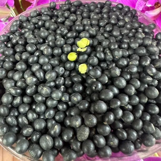 农家优质黑豆2斤