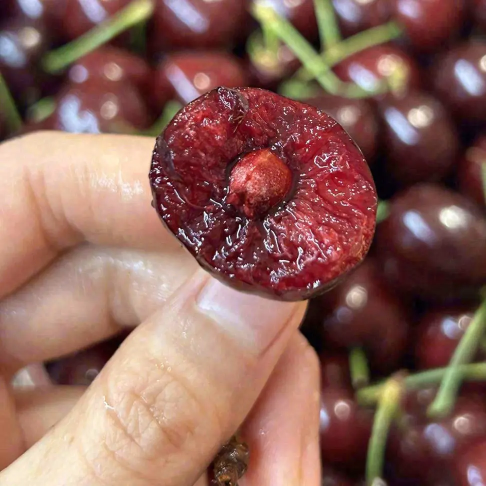 海运JD/2J/3J /4J 分装车厘子 桑提娜内附果径卡