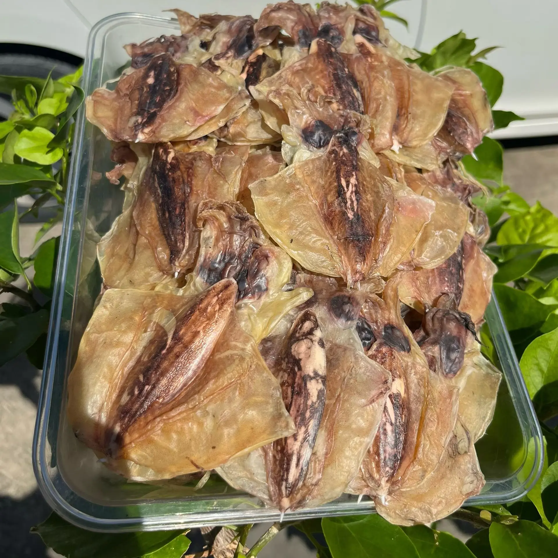 小小墨鱼干煲汤食用，渔民吊晒，肉质通透，香味浓郁