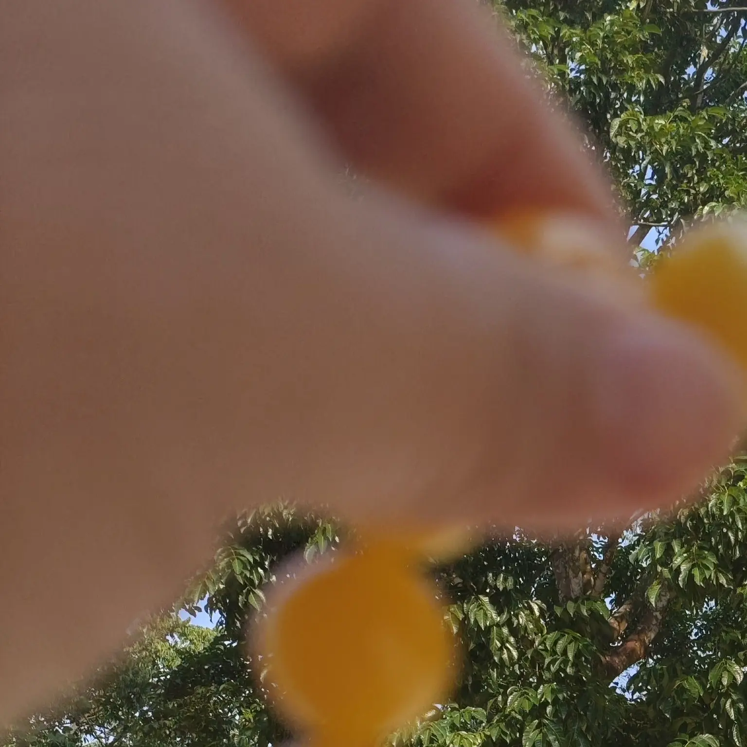 非金属珐琅手链 精品  老 蜜 老 腊 手串男女款20mm