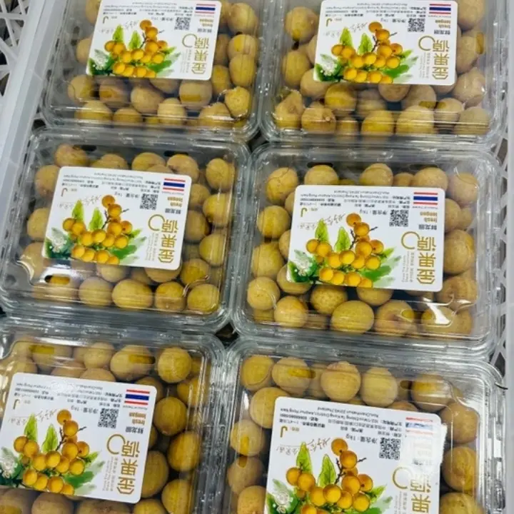 龙眼新鲜应季水果鲜桂圆爆汁皮薄肉厚大果核小无枝