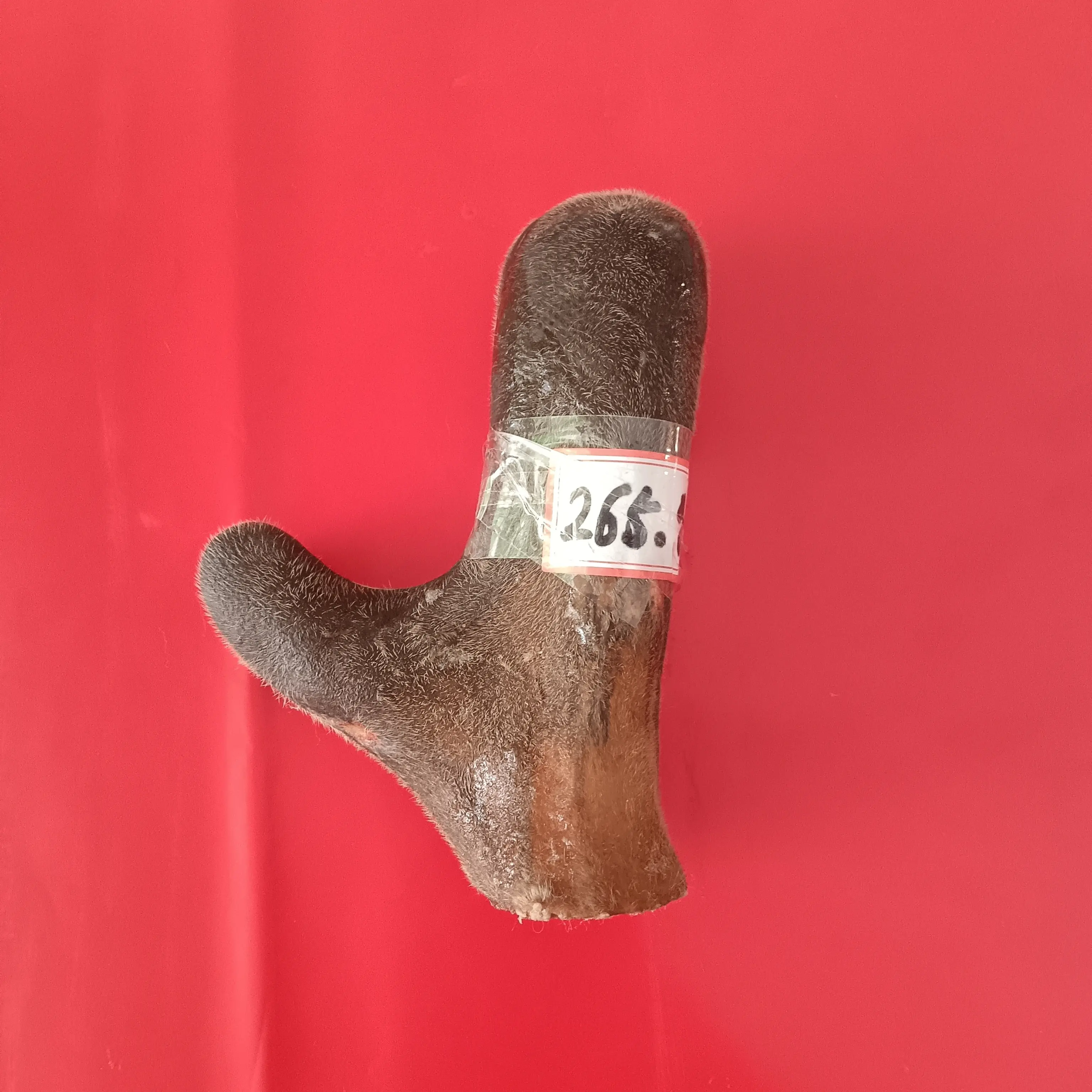 内蒙古草原鹿茸，可泡洒，煲汤滋补