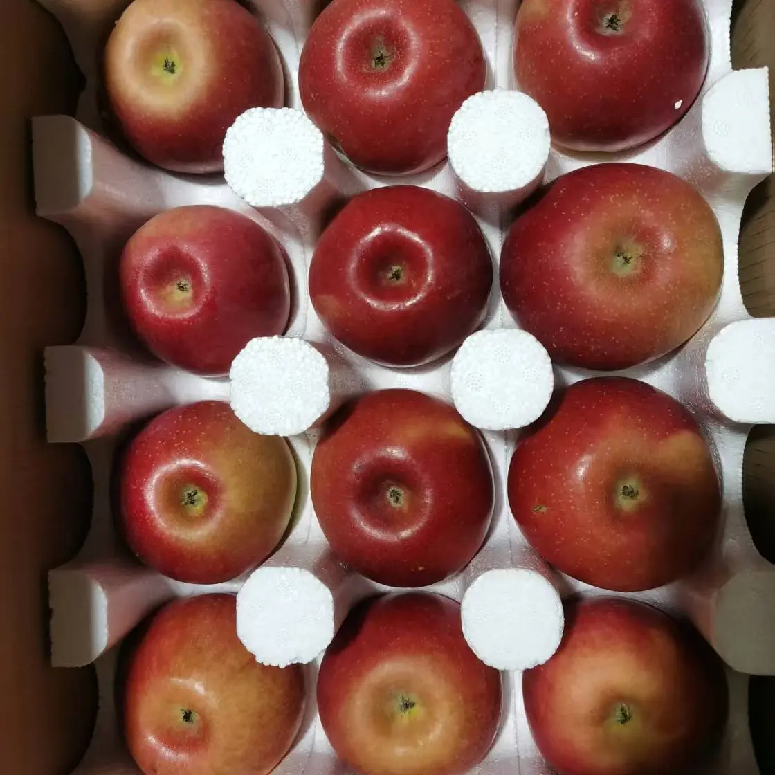 无品牌产地直发内蒙古宁城蒙富苹果新鲜脆甜多汁酸甜可口