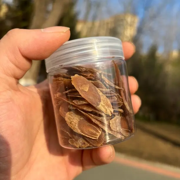 红参小片，可泡水煮茶煲汤，参味浓郁