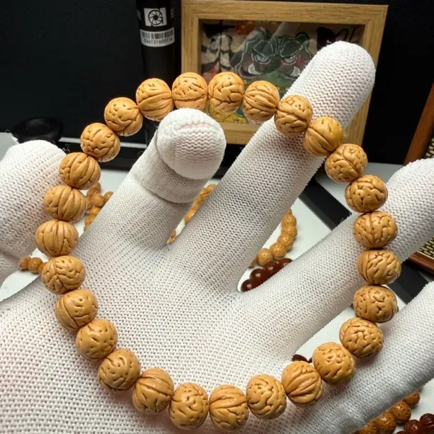 野核精品野生小肌肉