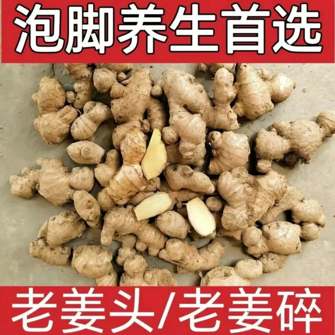 正宗云南老姜云南新鲜食用土姜现挖山地黄姜老姜母