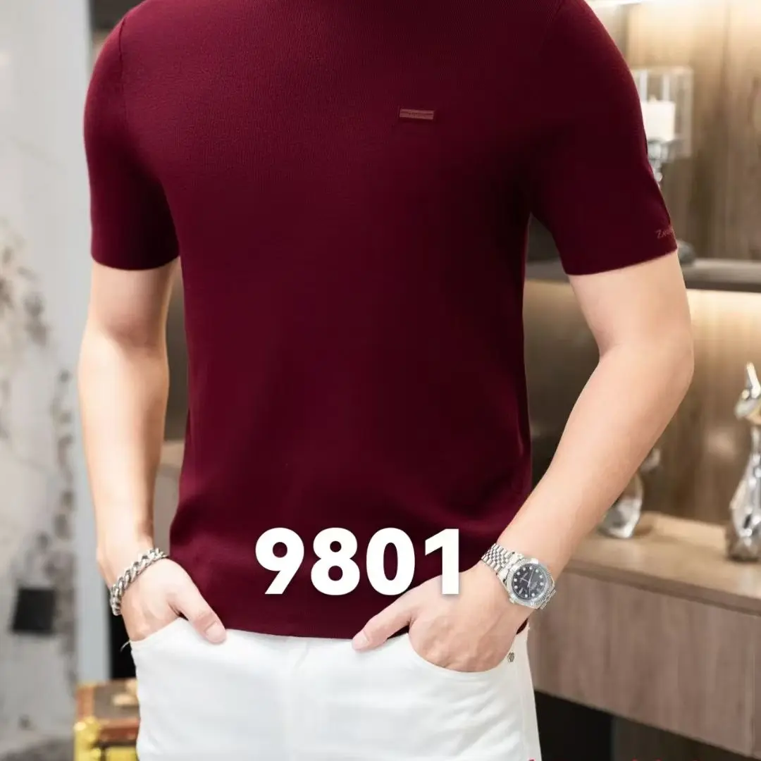 秋冬新款男士高档轻奢抗起球百搭短袖针织圆领打底上衣9801