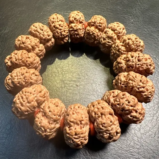 梵行至臻系列 青龙