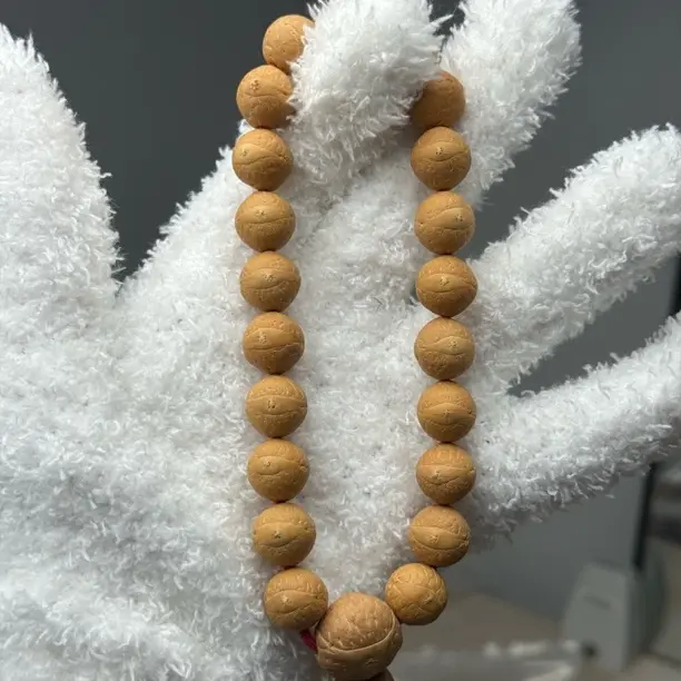 尼泊尔凤眼同树厚皮壳大眼睛12.5mm