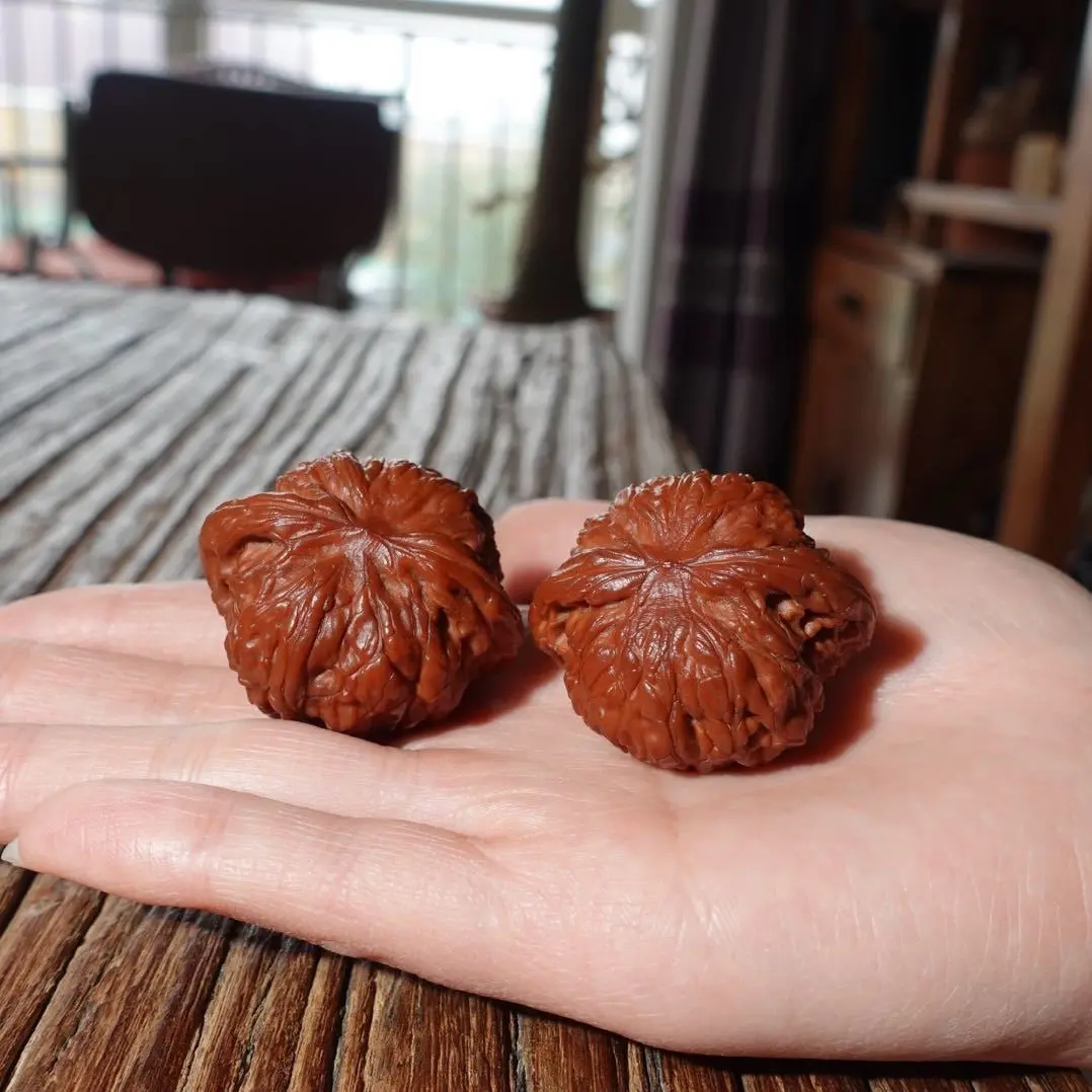 40狮子头把玩手把件天然精品盘玩