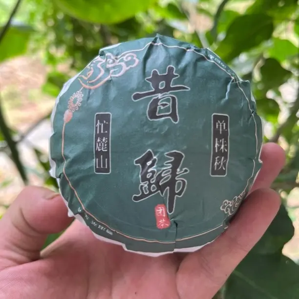 昔归忙麓山单株古树普洱生茶200克