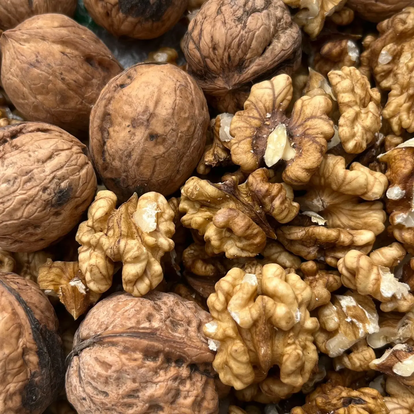 老树核桃 集市现收