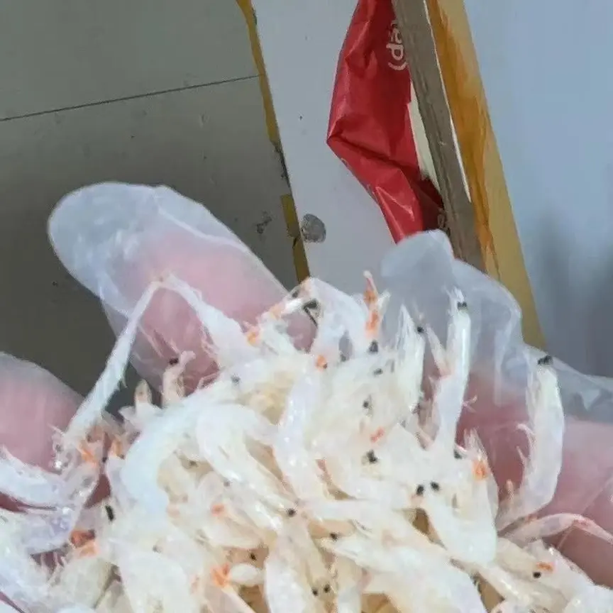 新货上市优质淡干虾皮生晒海鲜零食干货