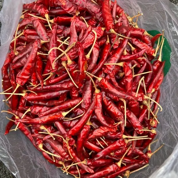特辣自然风干干辣椒多种辣椒可选满足不同辣度需求