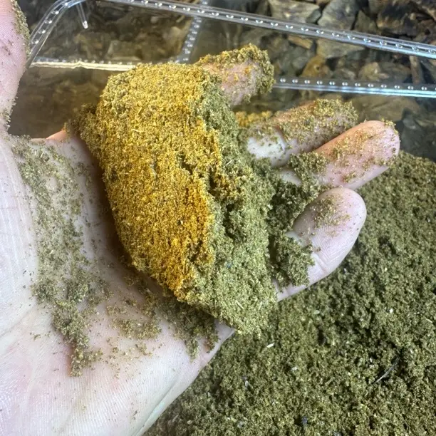 虫漏奇楠粉香薰粉末