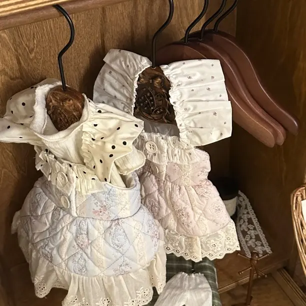 波点刺绣奶蓝色碎花秋冬吊带裙情侣款棉服连衣裙适合马尔济斯比熊