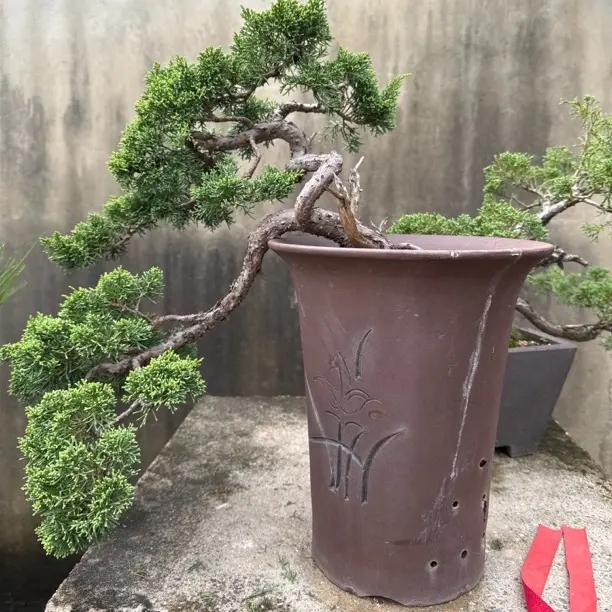 紫砂兰花盆大口径透气专用适合室内阳台花卉盆栽