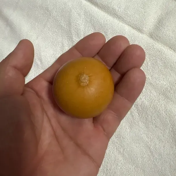 非卖品，不要私自下单，发货龙头不保！