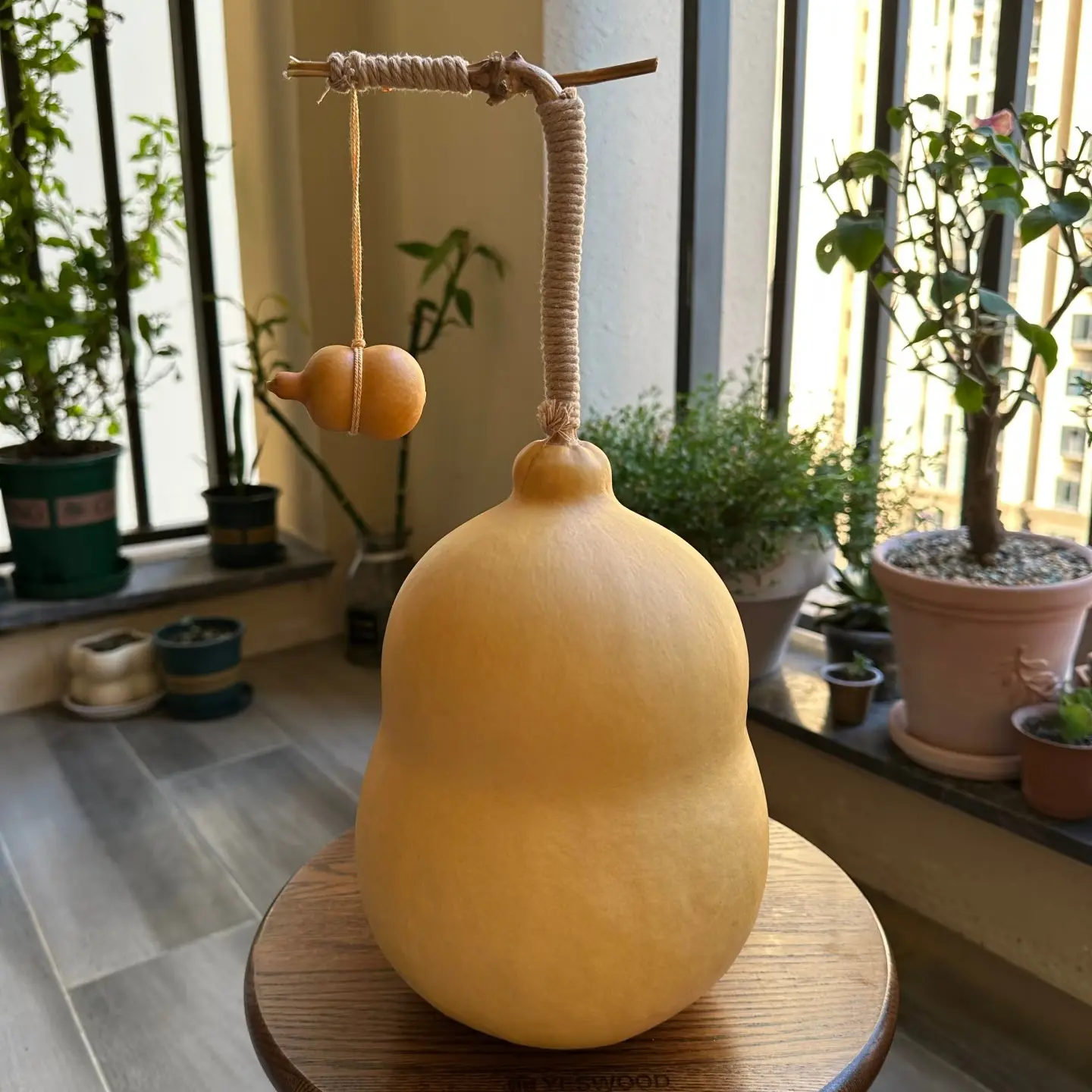 大葫芦（与直播沟通后下单，不要私自下单！！）