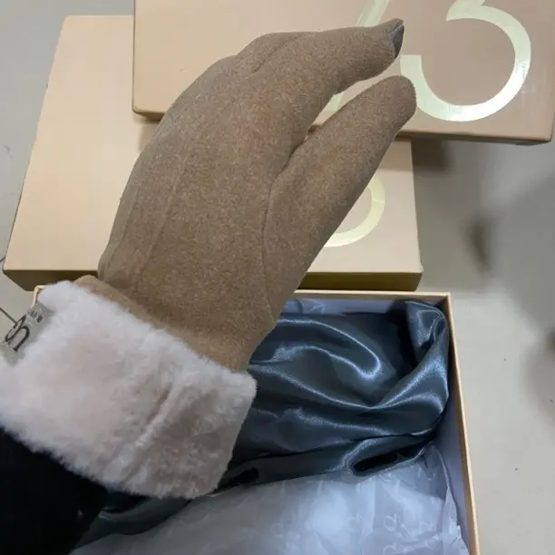 女士冬天加绒加厚保暖触屏手套骑行户外韩版可爱分指五指骑车