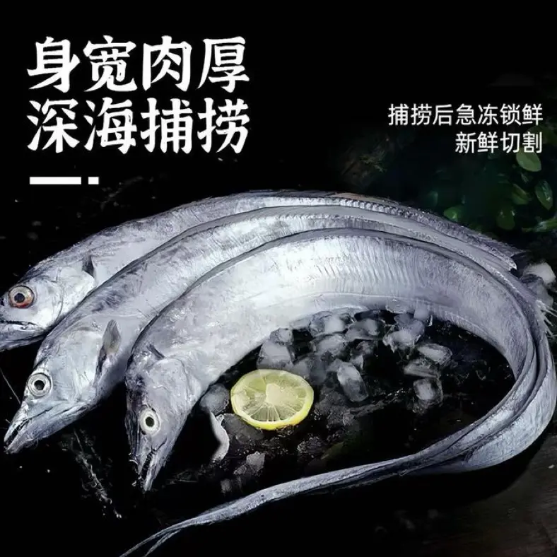 【精品钓带鱼】深海带鱼 特级大带鱼 海钓新鲜远洋速冻