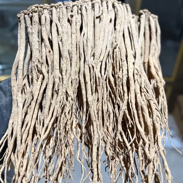 甘肃渭源县白条党参中条（七成干）自然晒干可煲汤泡水炖肉养生