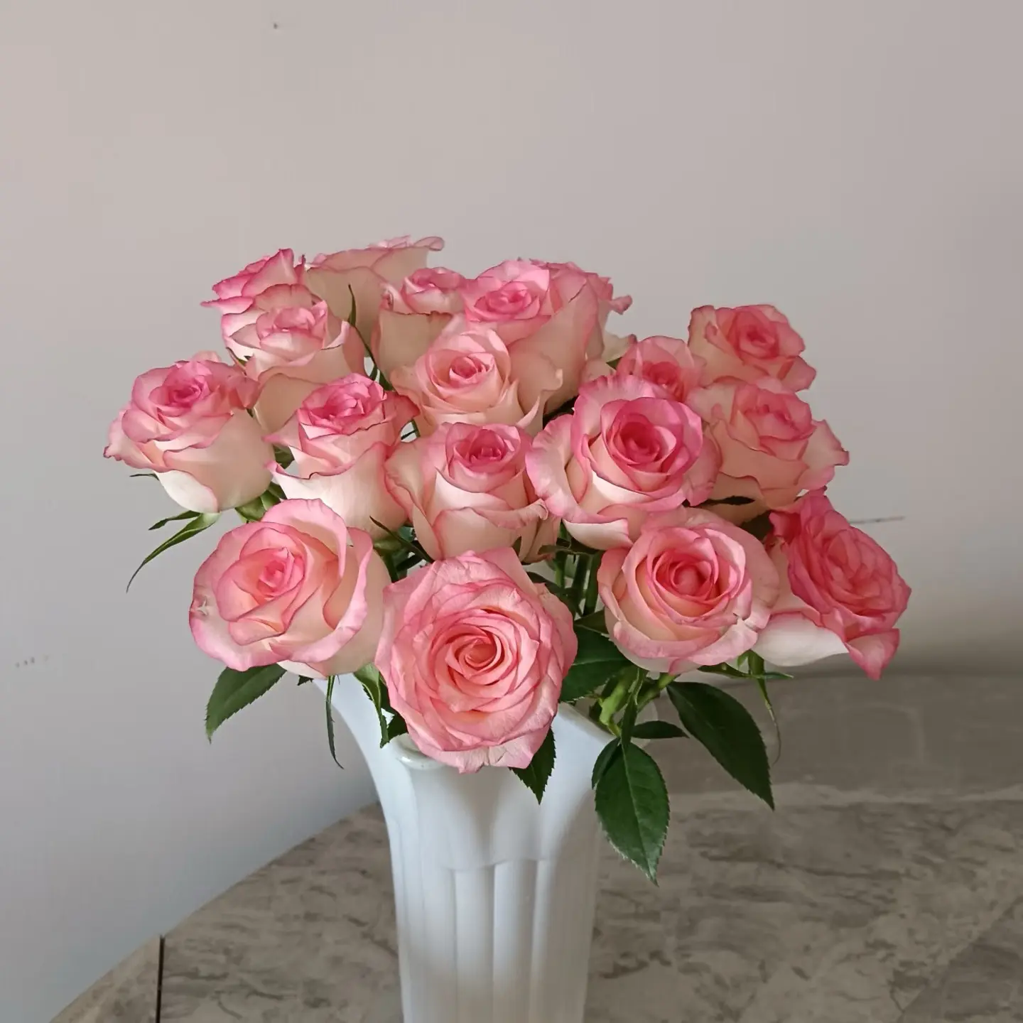 艾莎玫瑰，顺丰包邮（10支）