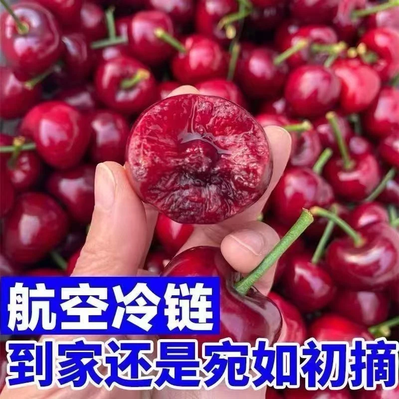 【航空冷链】山东美~早新鲜水果现采现摘脆甜爆汁 石榴 带箱4斤XXW