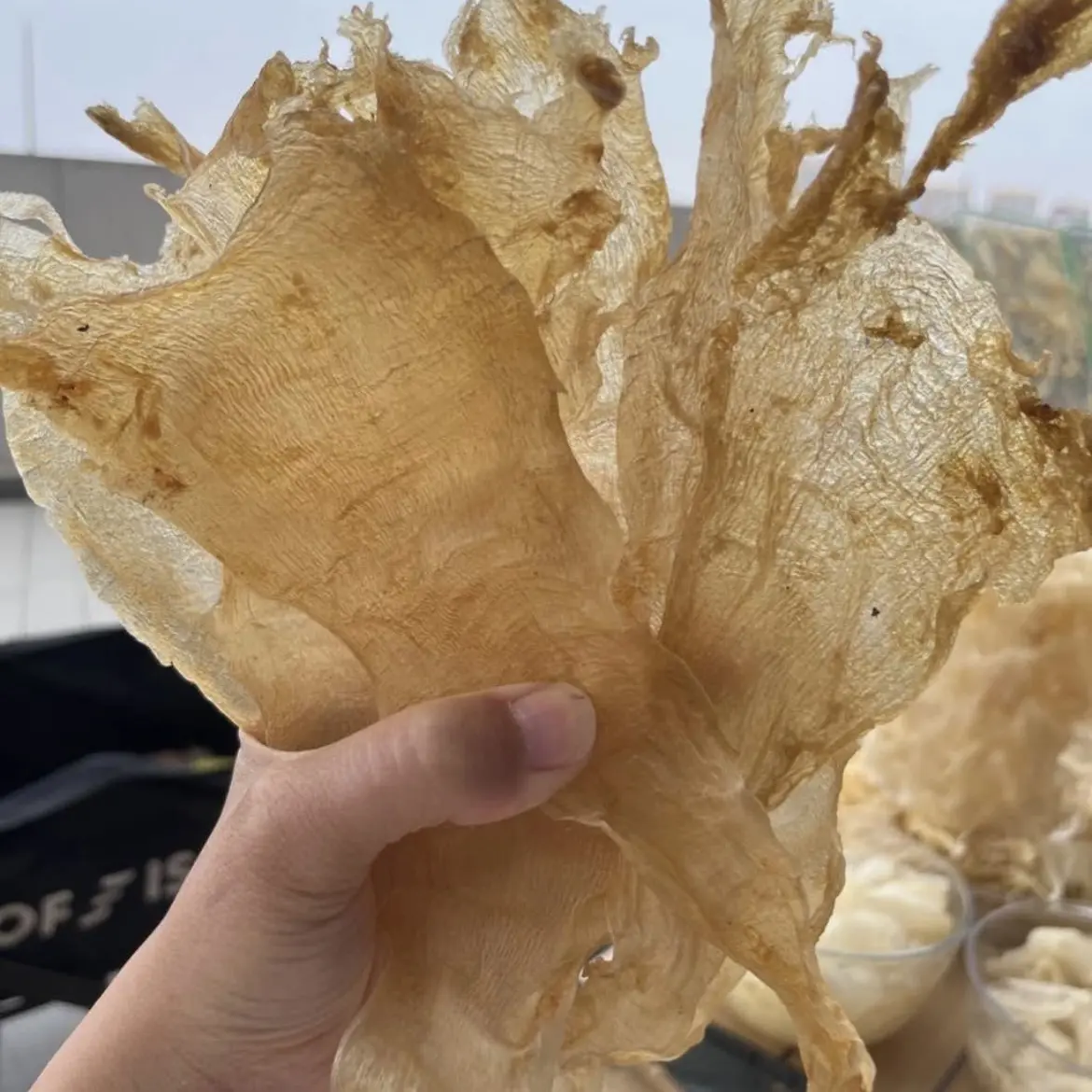 大号鳘鱼胶厚肉日常滋补鱼胶送礼