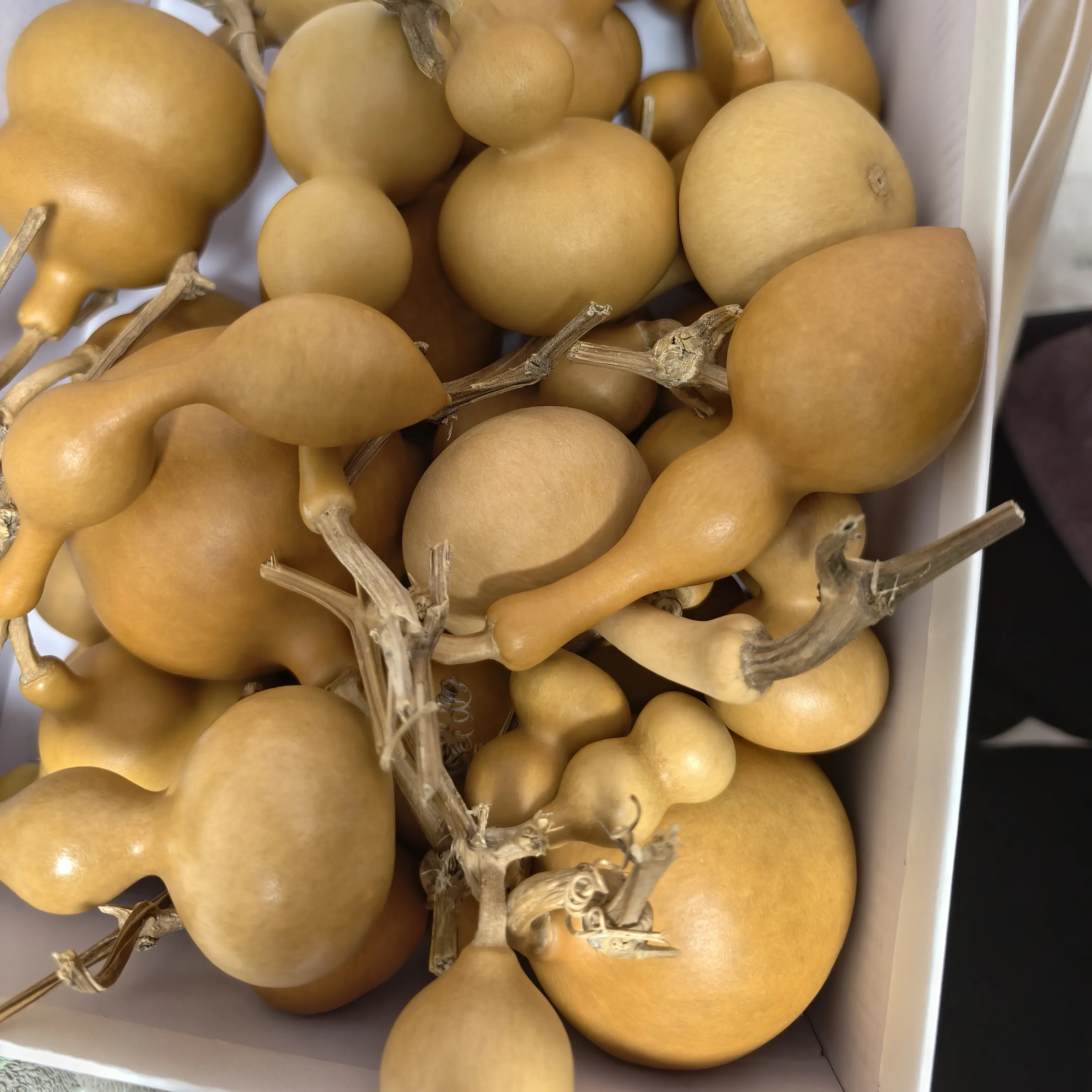 天然带龙头小葫芦手把件盘玩文玩专用福禄葫芦