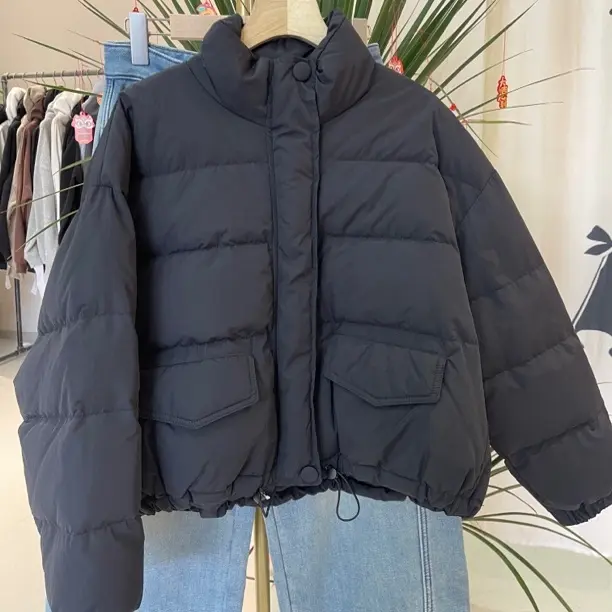 韩系短款立领宽松加厚保暖鸭绒女冬季羽绒服