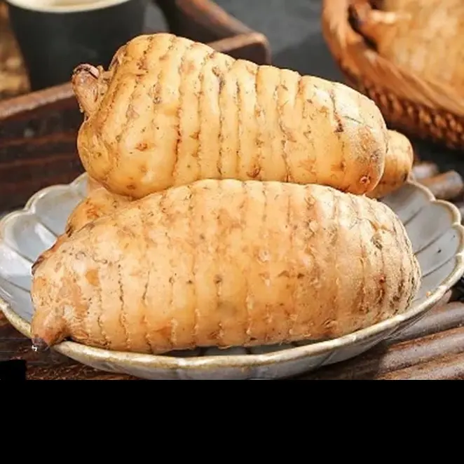 新鲜现挖贵州高山天麻林下种植食材可熬汤煲汤