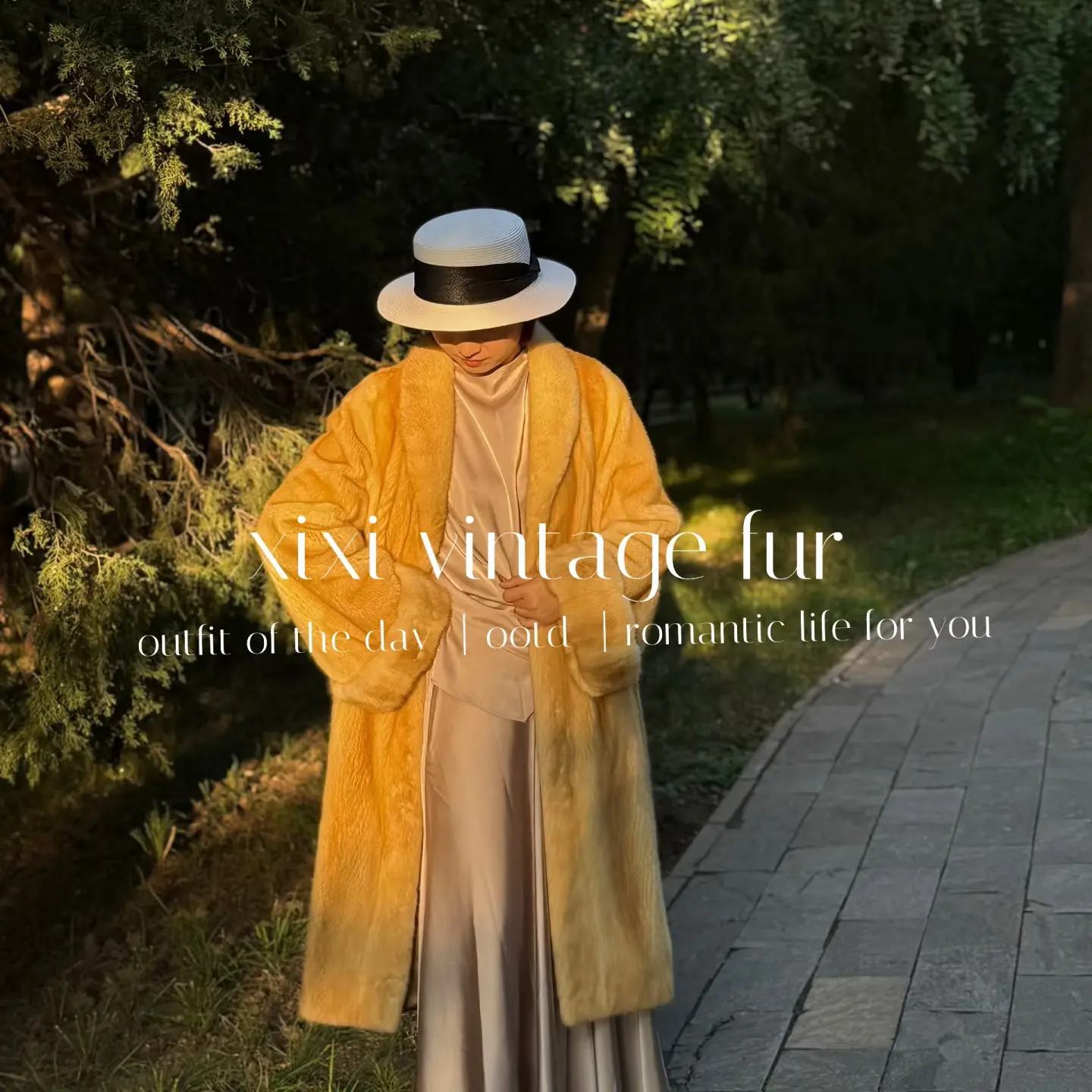 水貂 黄金立领长款女青果领中长款中码长袖V领大衣外套